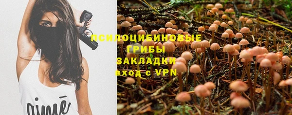 дурь Алексин
