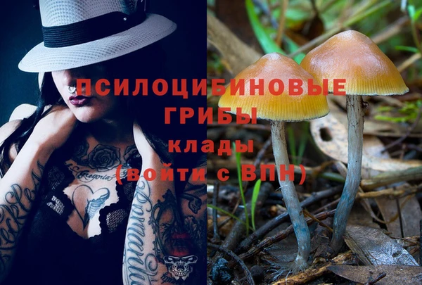 дурь Алексин
