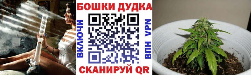 Конопля OG Kush  это как зайти  Ростов 
